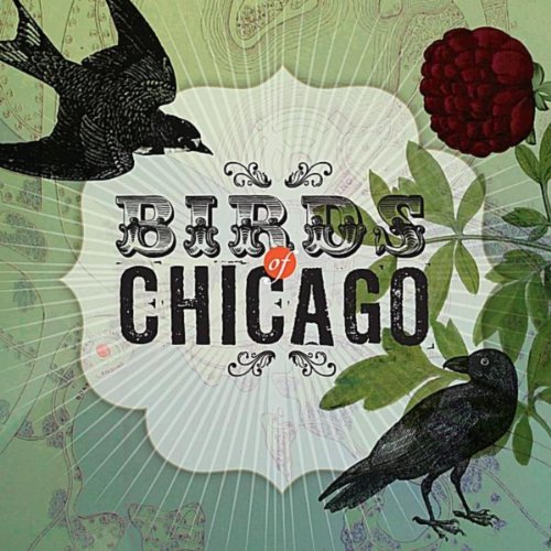 Birds of Chicago self-titled album cover