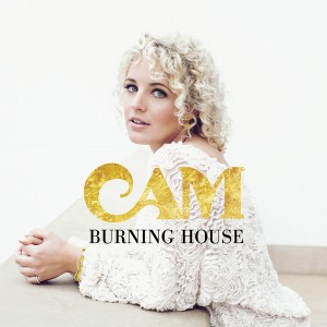 Cam - "Burning House" single cover artwork